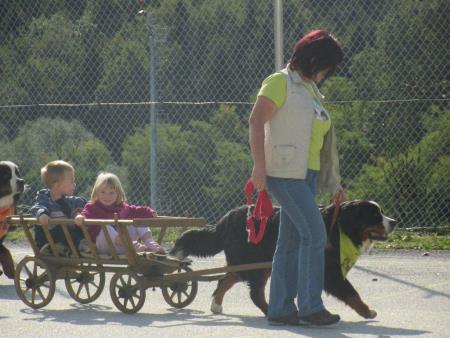 Mednarodni teden otrok tudi v Zavrču